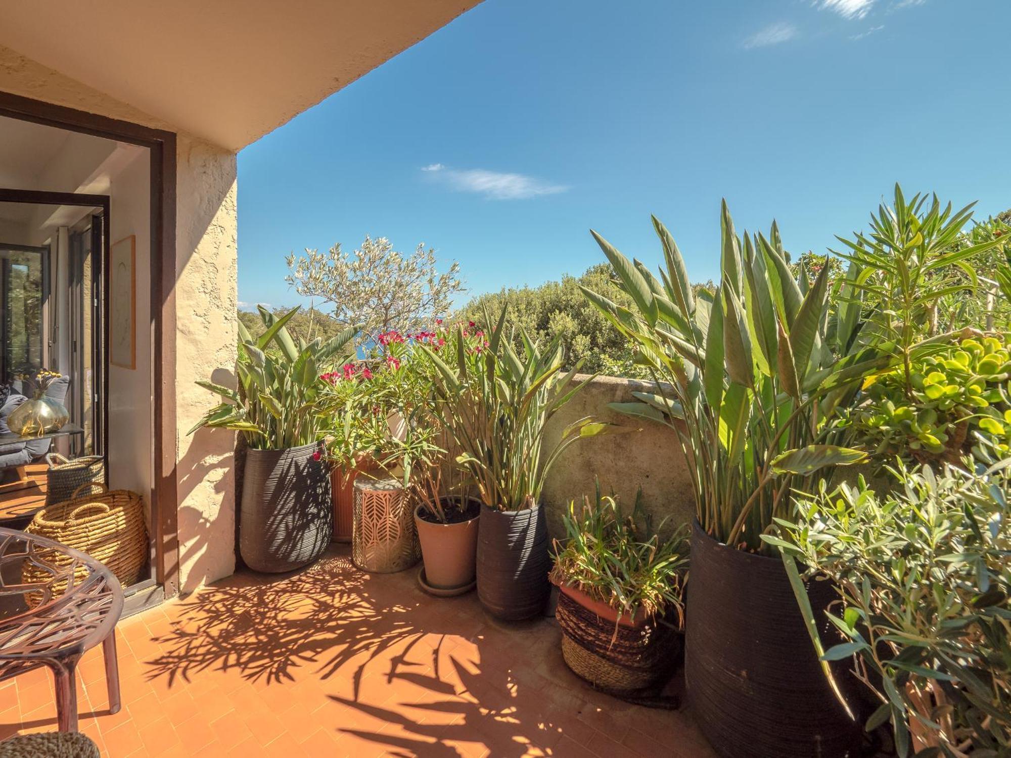Residence Les Sources Brando Exterior foto